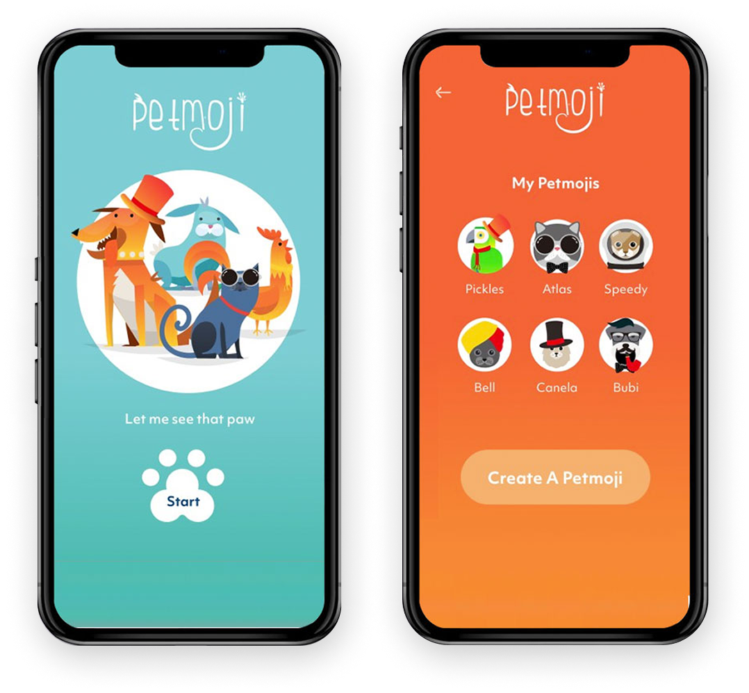 Portfolio Hero Image